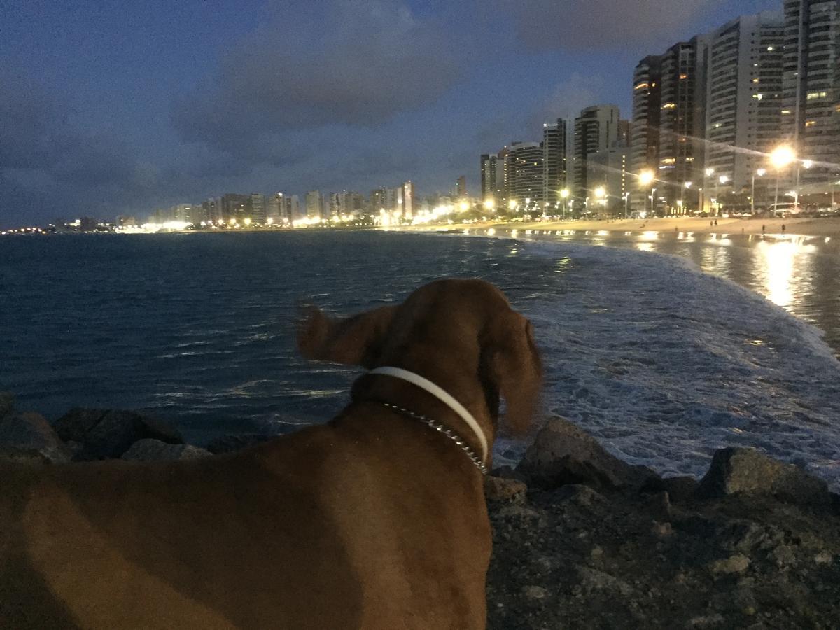 Apartamento Na Melhor Localizacao De Fortaleza!! Εξωτερικό φωτογραφία